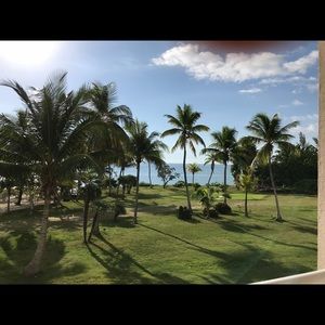 Meet your Posher, Cathie